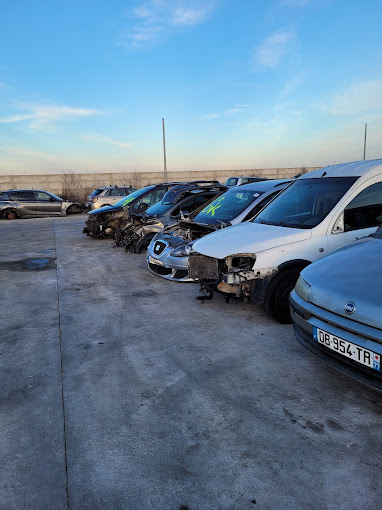 Aperçu des activités de la casse automobile RECYCLE AUTO PIECES située à CHAUMES-EN-BRIE (77390)